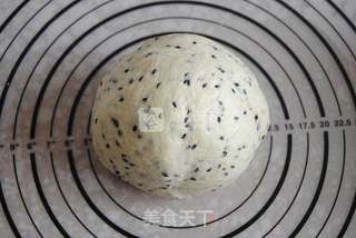 东菱电子烤箱之芝麻土司的做法步骤:5