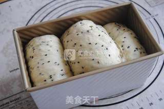 东菱电子烤箱之芝麻土司的做法步骤:11