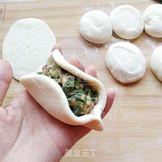 老白菜猪肉包子的做法步骤:10