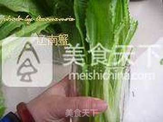 蘸汁油麦菜的做法步骤:5
