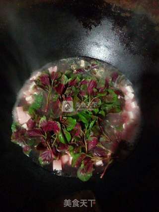 红觅菜煮豆腐汤的做法步骤:3