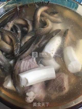 泥鳅茨实煲淮山的做法步骤:12