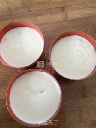 奥利奥蔓越莓盆栽冰淇淋的做法步骤:10