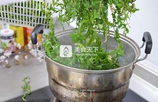 香菇酱荠菜饺子的做法步骤：4