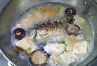 鲫鱼豆腐汤的做法步骤:12