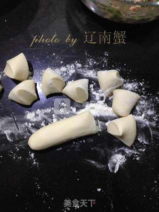 猪肉锅贴的做法步骤:10