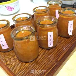 杏子果酱的做法步骤:7