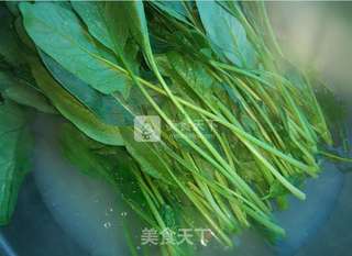 菠菜拌蚬子的做法步骤:2