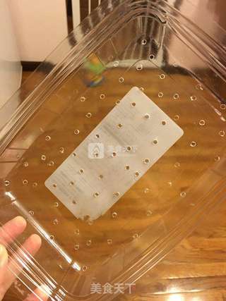 水培豌豆苗的做法步骤:2
