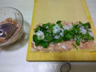 #ACA烘焙明星大赛#风味烤干豆腐卷的做法步骤:4