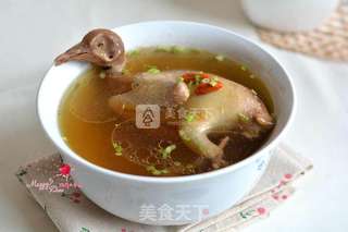 清蒸鸽子汤的做法步骤:8