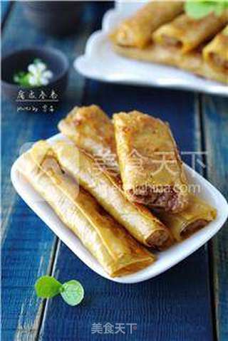 【不用擀皮不用油炸,健康春卷简单做】腐皮春卷的做法步骤:15