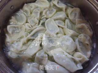 韭菜猪肉饺的做法步骤:10