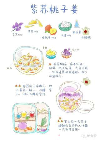 【手绘食谱】紫苏桃子姜 让夏日的味蕾急速分泌唾液 ~的做法步骤:5