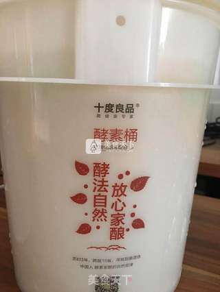 菠萝仙人掌果鲜酿酵素的做法步骤:4