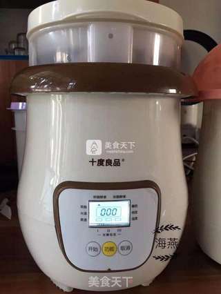 菠萝仙人掌果鲜酿酵素的做法步骤:5