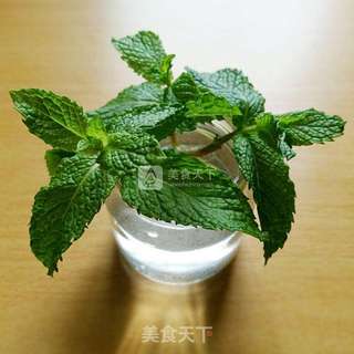 清热去火提神之凉拌薄荷的做法步骤:4