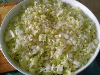 清真羊肉白菜水饺的做法步骤:3