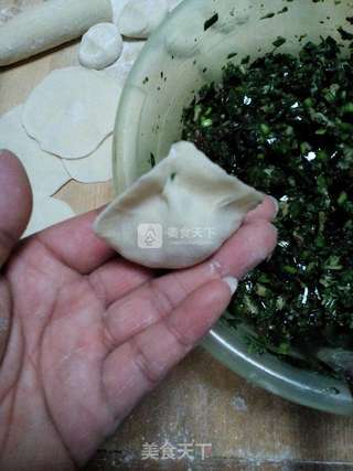 荠菜饺子的做法步骤:10