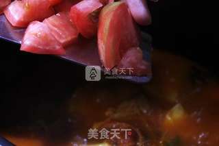 #西红柿炖牛腩的做法图解17