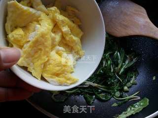 蒲公英炒鸡蛋的做法步骤：7