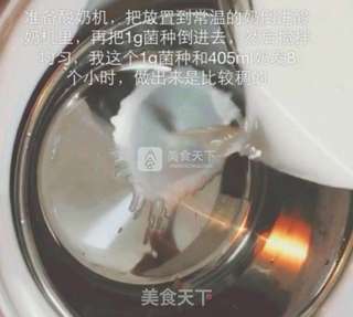 盆栽酸奶的做法步骤:4