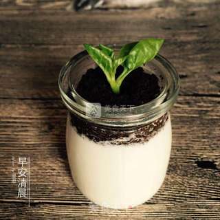 盆栽酸奶的做法步骤:17
