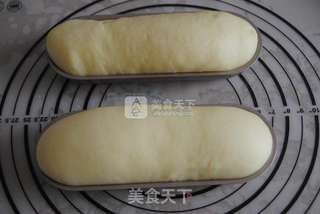 咸肉鲜虾堡的做法步骤:8