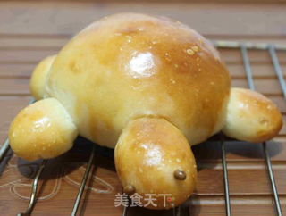 乌龟面包——乐众缤纷夏日烘焙大赛获奖作品的做法步骤:9