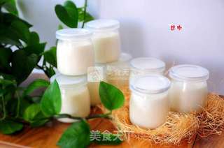 自制美味瓶装酸奶的做法步骤:7