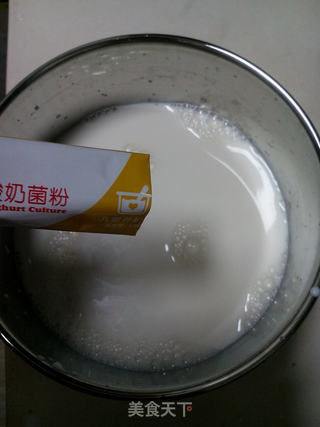 自制酸奶的做法步骤：4