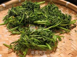 腌渍雪里蕻的做法步骤:3