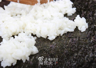虾仁寿司的做法步骤:6