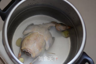 松茸鸽子汤的做法步骤:5