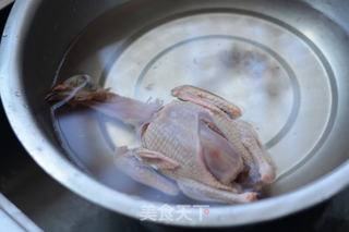 松茸鸽子汤的做法步骤:2