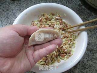 秀珍菇圆白菜肉馅饺子 的做法步骤：10