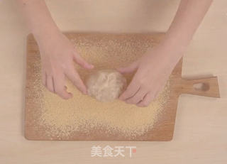 香糯驴打滚的做法步骤:7