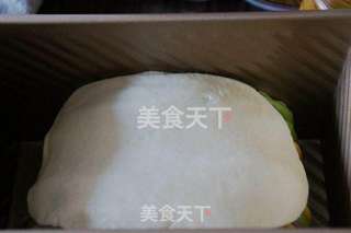 彩虹土司的做法步骤:10