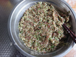 圆白菜芹菜猪肉包的做法步骤:10