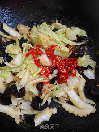 #信任之美#五花肉炒白菜的做法步骤:8