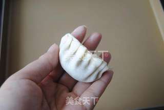 韭菜大肉饺的做法步骤:6