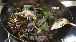 紫苏炒石螺丨大嘴螺的做法步骤:9