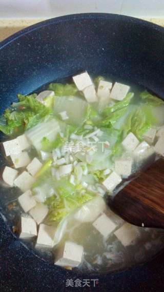 白菜炖豆腐的做法步骤:7