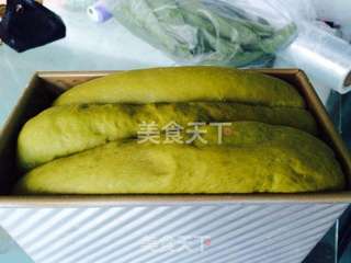 北海道抹茶蜜豆土司的做法步骤:9