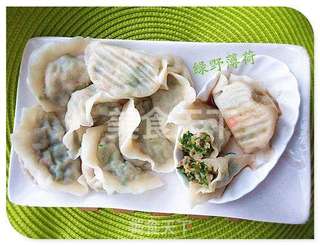 芫荽水饺的做法步骤:10