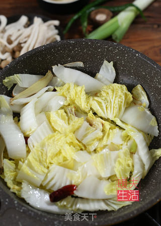 白菜豆腐汤的做法步骤:3