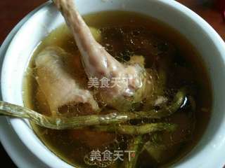 枫斗炖鸽的做法步骤：9