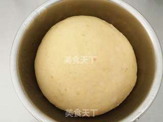 全麦红薯餐包的做法步骤:5