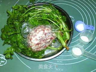 香菜鲜肉包的做法步骤：4