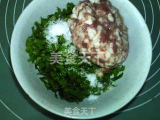 香菜鲜肉包的做法步骤：5